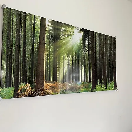 Appartement Gemuetliches Eifeler Gaestehaeuschen