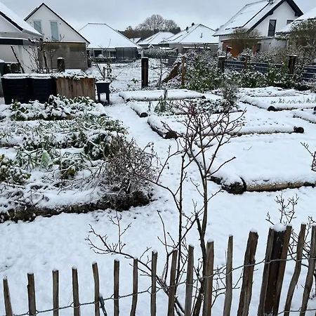 Διαμέρισμα Gemuetliches Eifeler Gaestehaeuschen Nettersheim